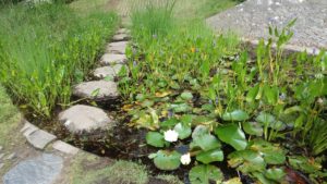 sophrologie et stress angoisse