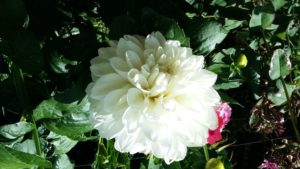 sophrologie et sommeil