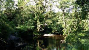 Qu'est ce que la sophrologie