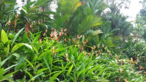 domaines et champs d'application de la sophrologie